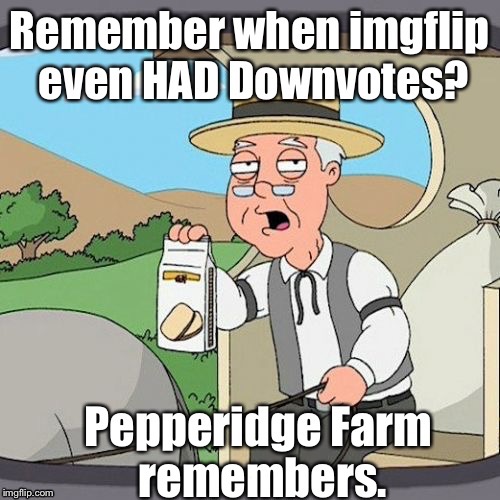 Bring 'Em BACK! It made us make better memes, and punished reposts: | _ | image tagged in memes,pepperidge farms remembers,pepperidge farm remembers,imgflip | made w/ Imgflip meme maker