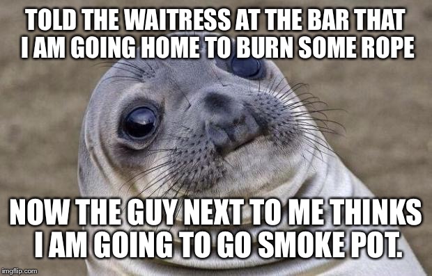 Awkward Moment Sealion | TOLD THE WAITRESS AT THE BAR THAT I AM GOING HOME TO BURN SOME ROPE; NOW THE GUY NEXT TO ME THINKS I AM GOING TO GO SMOKE POT. | image tagged in memes,awkward moment sealion | made w/ Imgflip meme maker