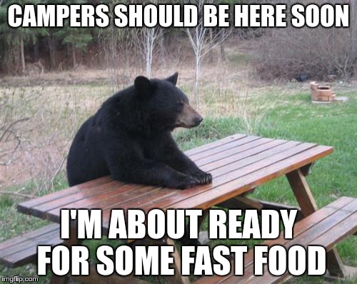 Bad Luck Bear Meme | CAMPERS SHOULD BE HERE SOON; I'M ABOUT READY FOR SOME FAST FOOD | image tagged in memes,bad luck bear | made w/ Imgflip meme maker