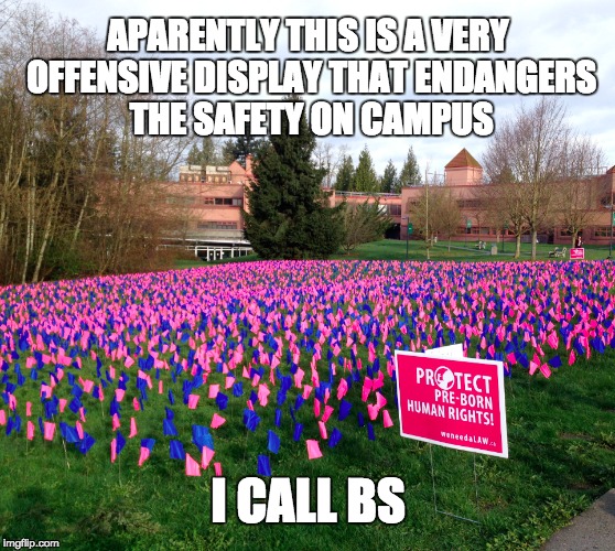 This is what got shut down today at my university | APARENTLY THIS IS A VERY OFFENSIVE DISPLAY THAT ENDANGERS THE SAFETY ON CAMPUS; I CALL BS | image tagged in first amendment,pro life,bullshit,first world problems | made w/ Imgflip meme maker