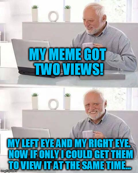 A True Visionary | MY MEME GOT TWO VIEWS! MY LEFT EYE AND MY RIGHT EYE.  NOW IF ONLY I COULD GET THEM TO VIEW IT AT THE SAME TIME... | image tagged in memes,hide the pain harold,eyes,aging | made w/ Imgflip meme maker