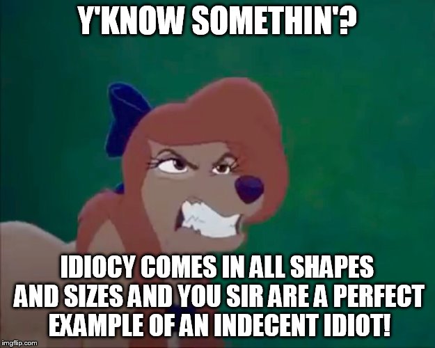 Idiocy Comes In All Shapes And Sizes | Y'KNOW SOMETHIN'? IDIOCY COMES IN ALL SHAPES AND SIZES AND YOU SIR ARE A PERFECT EXAMPLE OF AN INDECENT IDIOT! | image tagged in angry dixie,memes,disney,the fox and the hound 2,idiocy,reba mcentire | made w/ Imgflip meme maker