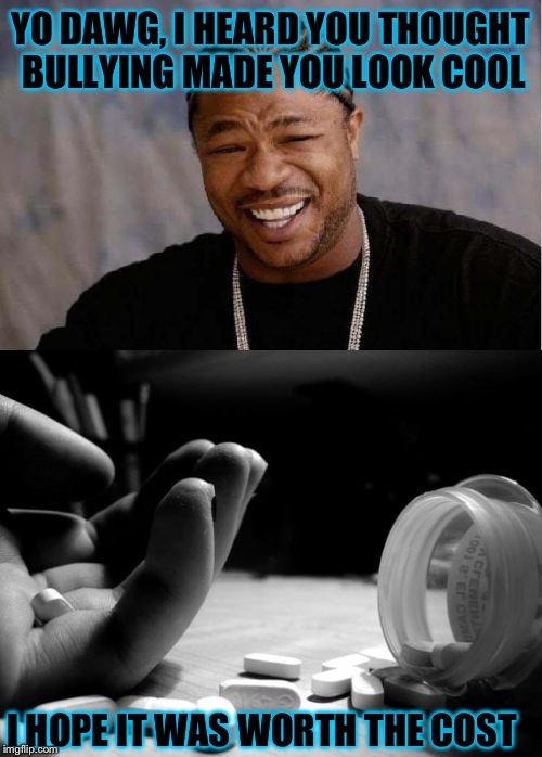 There is no excuse for bullying. The 'rewards' of admiration from sadistic peers is not worth a human life. | YO DAWG, I HEARD YOU THOUGHT BULLYING MADE YOU LOOK COOL; I HOPE IT WAS WORTH THE COST | image tagged in suicide,depression,memes,bullying,cyberbullying | made w/ Imgflip meme maker