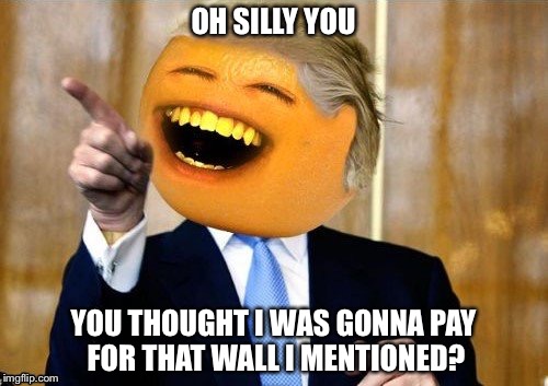 OH SILLY YOU; YOU THOUGHT I WAS GONNA PAY FOR THAT WALL I MENTIONED? | image tagged in orange trump | made w/ Imgflip meme maker
