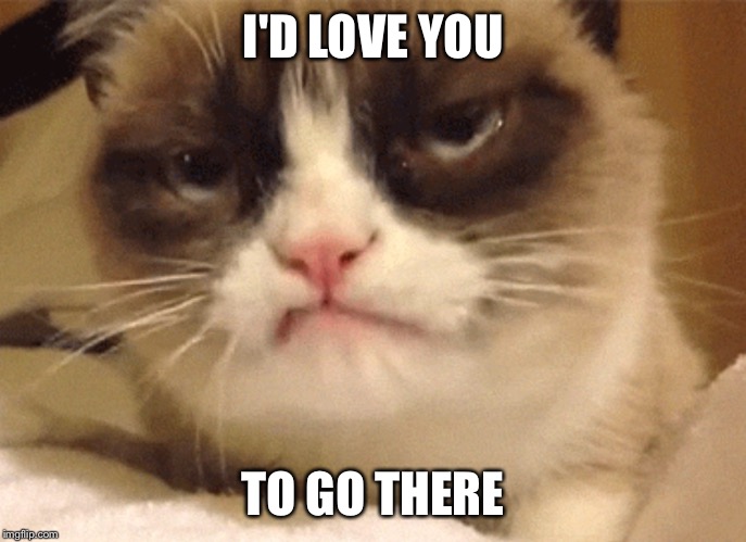 DISAPPROVING GRUMPY CAT | I'D LOVE YOU TO GO THERE | image tagged in disapproving grumpy cat | made w/ Imgflip meme maker