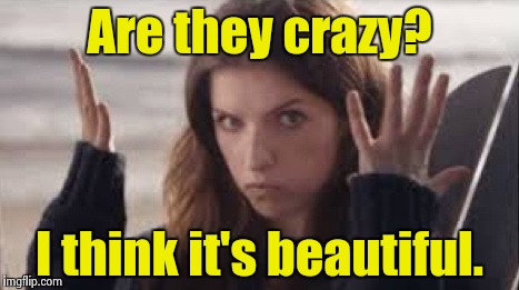 WTF Anna | Are they crazy? I think it's beautiful. | image tagged in wtf anna | made w/ Imgflip meme maker