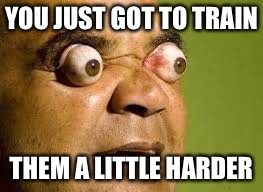 YOU JUST GOT TO TRAIN THEM A LITTLE HARDER | made w/ Imgflip meme maker