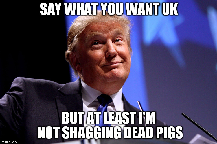 Donald Trump | SAY WHAT YOU WANT UK; BUT AT LEAST I'M NOT SHAGGING DEAD PIGS | image tagged in donald trump | made w/ Imgflip meme maker