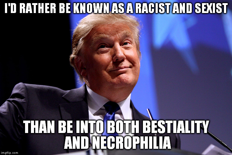 Donald Trump | I'D RATHER BE KNOWN AS A RACIST AND SEXIST; THAN BE INTO BOTH BESTIALITY AND NECROPHILIA | image tagged in donald trump | made w/ Imgflip meme maker