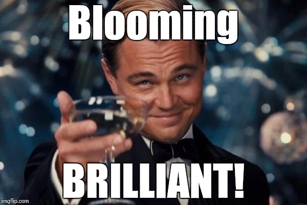 Leonardo Dicaprio Cheers Meme | Blooming BRILLIANT! | image tagged in memes,leonardo dicaprio cheers | made w/ Imgflip meme maker