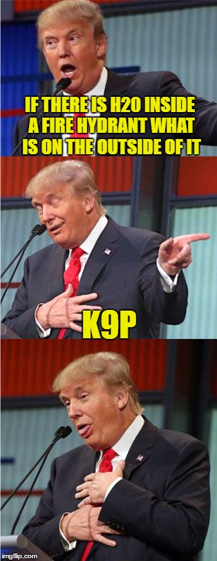 Bad Pun Trump | IF THERE IS H20 INSIDE A FIRE HYDRANT WHAT IS ON THE OUTSIDE OF IT; K9P | image tagged in bad pun trump | made w/ Imgflip meme maker