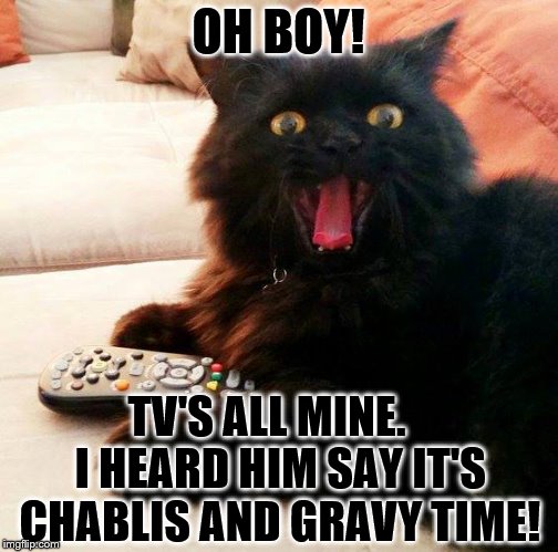 OH BOY! Cat: Chablis and Gravy Time |  OH BOY! TV'S ALL MINE.

 I HEARD HIM SAY IT'S CHABLIS AND GRAVY TIME! | image tagged in oh boy cat,memes,gravy,chablis,wine,tv | made w/ Imgflip meme maker