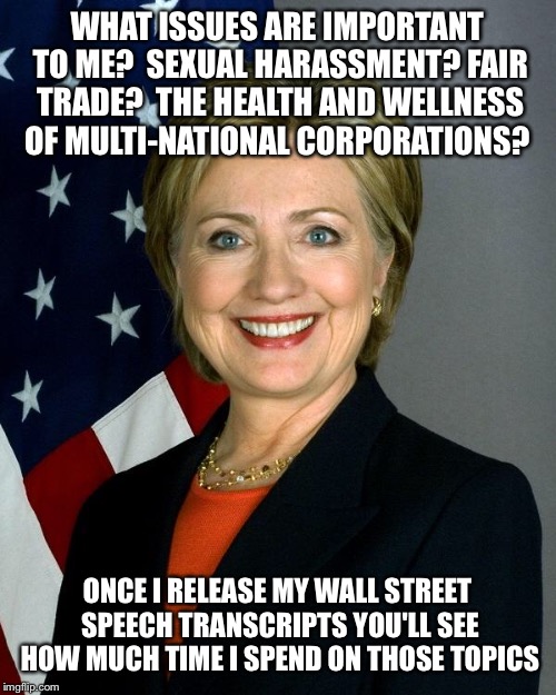 Hillary Clinton Meme | WHAT ISSUES ARE IMPORTANT TO ME?  SEXUAL HARASSMENT? FAIR TRADE?  THE HEALTH AND WELLNESS OF MULTI-NATIONAL CORPORATIONS? ONCE I RELEASE MY WALL STREET SPEECH TRANSCRIPTS YOU'LL SEE HOW MUCH TIME I SPEND ON THOSE TOPICS | image tagged in hillaryclinton | made w/ Imgflip meme maker