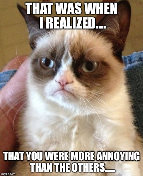 Grumpy Cat Meme | THAT WAS WHEN I REALIZED.... THAT YOU WERE MORE ANNOYING THAN THE OTHERS..... | image tagged in memes,grumpy cat | made w/ Imgflip meme maker