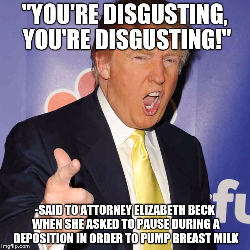 donald trump | "YOU'RE DISGUSTING, YOU'RE DISGUSTING!"; -SAID TO ATTORNEY ELIZABETH BECK WHEN SHE ASKED TO PAUSE DURING A DEPOSITION IN ORDER TO PUMP BREAST MILK | image tagged in donald trump | made w/ Imgflip meme maker