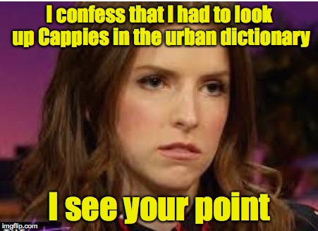 Confession Anna | I confess that I had to look up Cappies in the urban dictionary I see your point | image tagged in confession anna | made w/ Imgflip meme maker