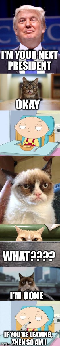 If Donald Trump wins |  I'M YOUR NEXT PRESIDENT; OKAY; WHAT???? I'M GONE; IF YOU'RE LEAVING, THEN SO AM I | image tagged in stewie,grumpy cat,donald trump | made w/ Imgflip meme maker