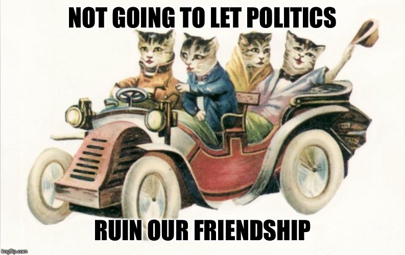 Cats Out For A Ride | NOT GOING TO LET POLITICS; RUIN OUR FRIENDSHIP | image tagged in cats out for a ride | made w/ Imgflip meme maker