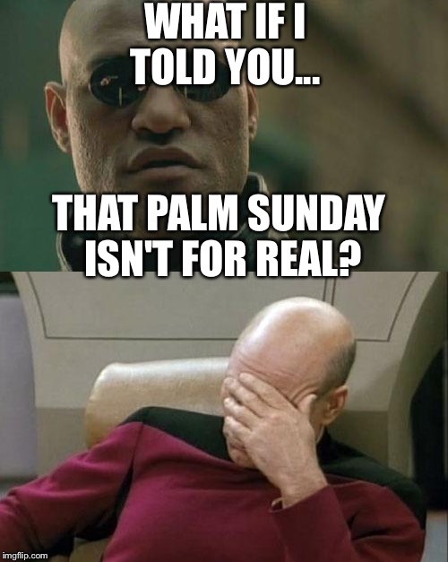 WHAT IF I TOLD YOU... THAT PALM SUNDAY ISN'T FOR REAL? | image tagged in face palm | made w/ Imgflip meme maker