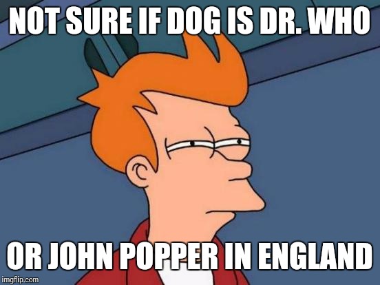 Futurama Fry Meme | NOT SURE IF DOG IS DR. WHO OR JOHN POPPER IN ENGLAND | image tagged in memes,futurama fry | made w/ Imgflip meme maker
