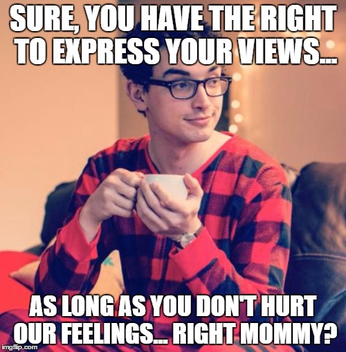 Pajama Boy | SURE, YOU HAVE THE RIGHT TO EXPRESS YOUR VIEWS... AS LONG AS YOU DON'T HURT OUR FEELINGS... RIGHT MOMMY? | image tagged in pajama boy | made w/ Imgflip meme maker
