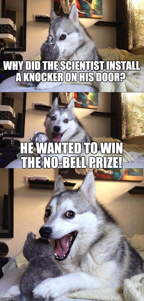 Why did the scientist install a knocker on his door? | WHY DID THE SCIENTIST INSTALL A KNOCKER ON HIS DOOR? HE WANTED TO WIN THE NO-BELL PRIZE! | image tagged in memes,bad pun dog | made w/ Imgflip meme maker