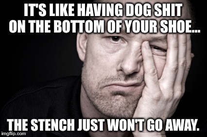 fed up | IT'S LIKE HAVING DOG SHIT ON THE BOTTOM OF YOUR SHOE... THE STENCH JUST WON'T GO AWAY. | image tagged in fed up | made w/ Imgflip meme maker