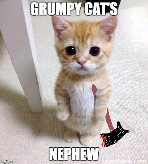 Cute Cat? Looks can be deceiving | GRUMPY CAT'S; NEPHEW | image tagged in memes,cute cat,grumpy cat,grumpy cat's nephew | made w/ Imgflip meme maker