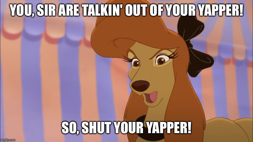 Shut Your Yapper! | YOU, SIR ARE TALKIN' OUT OF YOUR YAPPER! SO, SHUT YOUR YAPPER! | image tagged in dixie,memes,disney,the fox and the hound 2,reba mcentire,dog | made w/ Imgflip meme maker