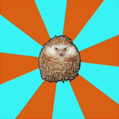 Autistic Hedgehog | image tagged in autism