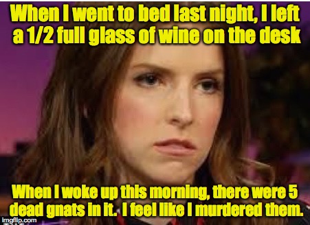 Note to self:  Drink all of the wine...in the glass | When I went to bed last night, I left a 1/2 full glass of wine on the desk; When I woke up this morning, there were 5 dead gnats in it.  I feel like I murdered them. | image tagged in confession anna,wine,gnats | made w/ Imgflip meme maker