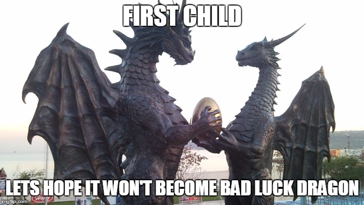 dragon couple | FIRST CHILD LETS HOPE IT WON'T BECOME BAD LUCK DRAGON | image tagged in dragon couple | made w/ Imgflip meme maker