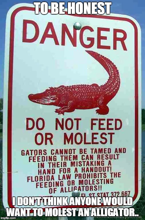 TO BE HONEST; I DON'T THINK ANYONE WOULD WANT TO MOLEST AN ALLIGATOR.. | image tagged in alligator,alligators | made w/ Imgflip meme maker