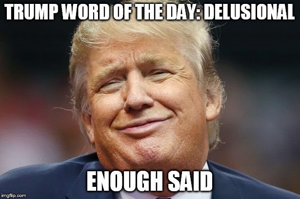 TRUMP WORD OF THE DAY: DELUSIONAL; ENOUGH SAID | image tagged in donald trump,donald trump derp | made w/ Imgflip meme maker