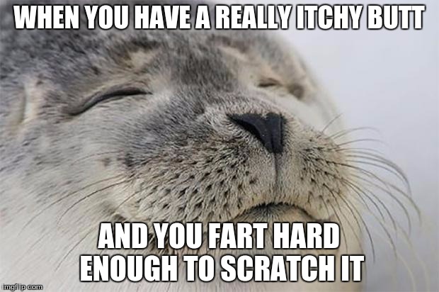 Satisfied Seal Meme | WHEN YOU HAVE A REALLY ITCHY BUTT; AND YOU FART HARD ENOUGH TO SCRATCH IT | image tagged in memes,satisfied seal | made w/ Imgflip meme maker