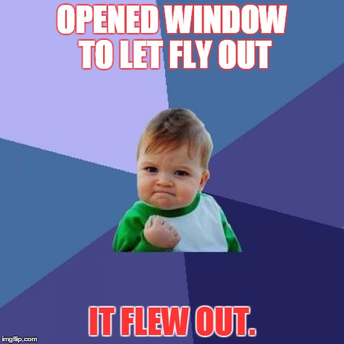 Success Kid Meme | OPENED WINDOW TO LET FLY OUT; IT FLEW OUT. | image tagged in memes,success kid | made w/ Imgflip meme maker
