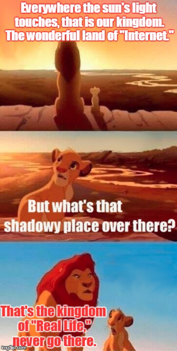 Simba Shadowy Place | Everywhere the sun's light touches, that is our kingdom. The wonderful land of "Internet."; That's the kingdom of "Real Life," never go there. | image tagged in memes,simba shadowy place | made w/ Imgflip meme maker