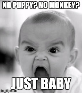 Angry Baby Meme | NO PUPPY? NO MONKEY? JUST BABY | image tagged in memes,angry baby | made w/ Imgflip meme maker