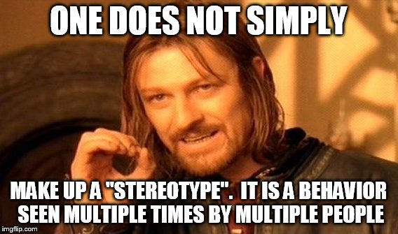 One Does Not Simply Meme | ONE DOES NOT SIMPLY MAKE UP A "STEREOTYPE".  IT IS A BEHAVIOR SEEN MULTIPLE TIMES BY MULTIPLE PEOPLE | image tagged in memes,one does not simply | made w/ Imgflip meme maker