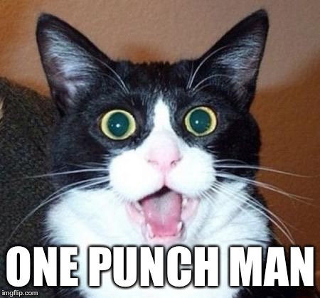 whoa cat | ONE PUNCH MAN | image tagged in whoa cat | made w/ Imgflip meme maker