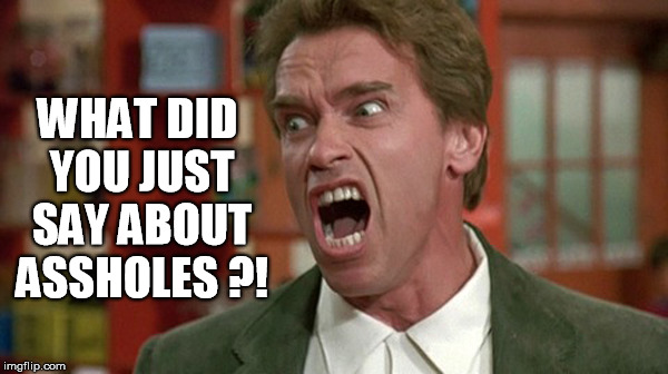 what about assholes ? | WHAT DID YOU JUST SAY ABOUT ASSHOLES ?! | image tagged in arnold schwarzenegger,assholes,funny,hollywood | made w/ Imgflip meme maker