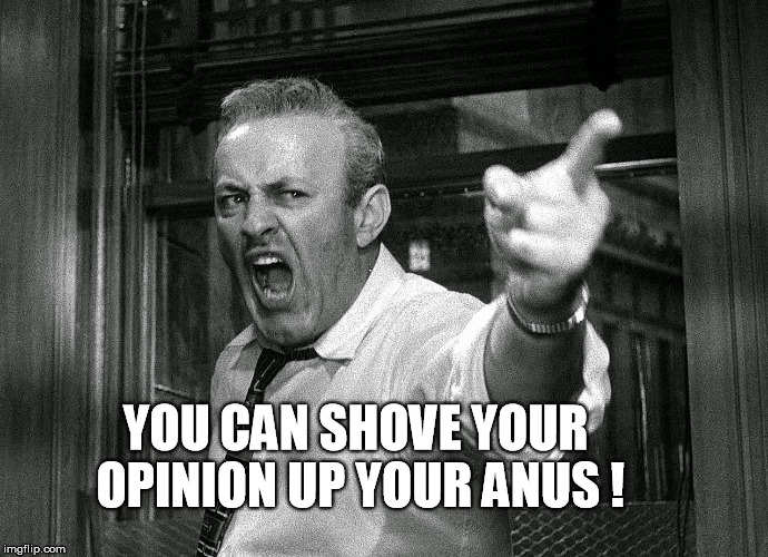 your anus | YOU CAN SHOVE YOUR OPINION UP YOUR ANUS ! | image tagged in anus,hollywood,funny,twelve angry men,henry fonda,rude | made w/ Imgflip meme maker