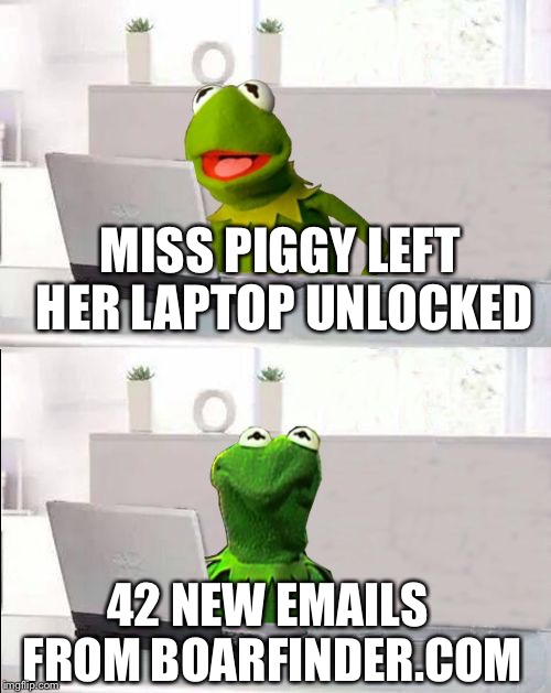 Hide The Pain Kermit | MISS PIGGY LEFT HER LAPTOP UNLOCKED; 42 NEW EMAILS FROM BOARFINDER.COM | image tagged in hide the pain kermit,memes,kermit the frog,miss piggy | made w/ Imgflip meme maker