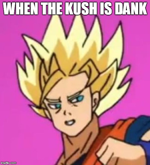 When the kush is dank | WHEN THE KUSH IS DANK | image tagged in when the kush is dank | made w/ Imgflip meme maker