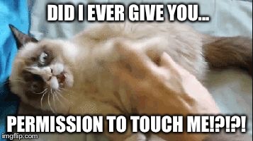 DID I EVER GIVE YOU... PERMISSION TO TOUCH ME!?!?! | image tagged in grumpy cat scream | made w/ Imgflip meme maker