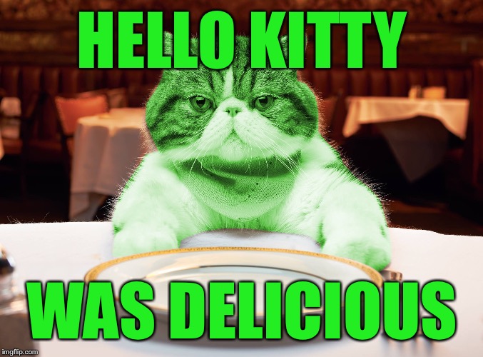 RayCat Hungry | HELLO KITTY WAS DELICIOUS | image tagged in raycat hungry | made w/ Imgflip meme maker