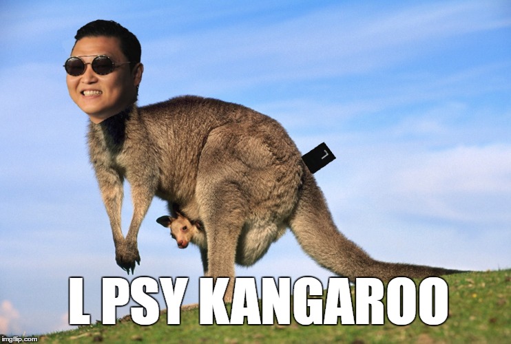 L PSY KANGAROO | L PSY KANGAROO | image tagged in kangaroo,psy,steinsgate,l tag | made w/ Imgflip meme maker