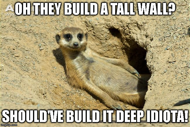 OH THEY BUILD A TALL WALL? SHOULD'VE BUILD IT DEEP IDIOTA! | image tagged in trump wall | made w/ Imgflip meme maker