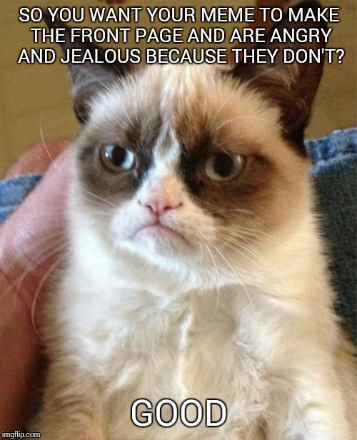 Grumpy Cat | SO YOU WANT YOUR MEME TO MAKE THE FRONT PAGE AND ARE ANGRY AND JEALOUS BECAUSE THEY DON'T? GOOD | image tagged in memes,grumpy cat | made w/ Imgflip meme maker