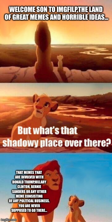 Simba Shadowy Place | WELCOME SON TO IMGFILP,THE LAND OF GREAT MEMES AND HORRIBLE IDEAS... THAT MEMES THAT ARE INVOLVED WITH DONALD TRUMP,HILLARY CLINTON, BERNIE SANDERS OR ANY OTHER MEME CONSISTING OF ANY POLITICAL BUSINESS. YOU ARE NEVER SUPPOSED TO GO THERE... | image tagged in memes,simba shadowy place | made w/ Imgflip meme maker